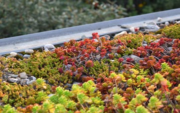 the cost of Brawby green roof installation