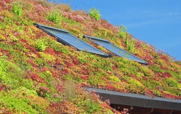 Brawby living roof systems